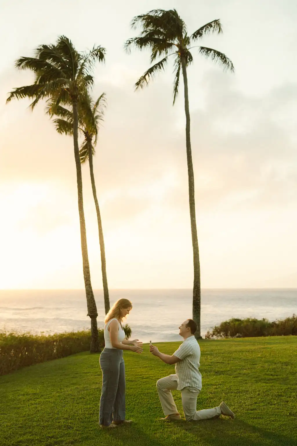 Proposals photography portfolio