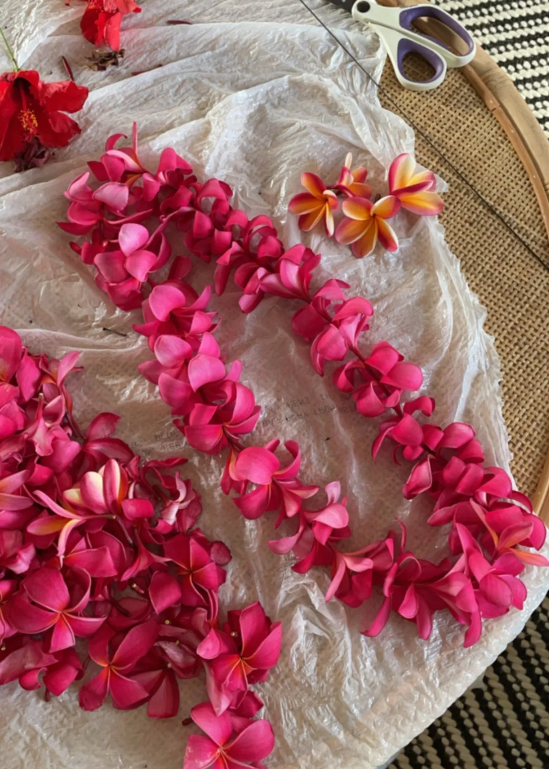 Plumeria Lei (Pink) image